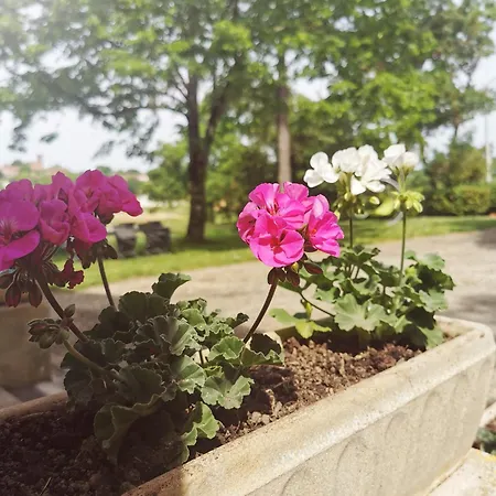 Dom wakacyjny & 6 Pers 15 Min D'auch