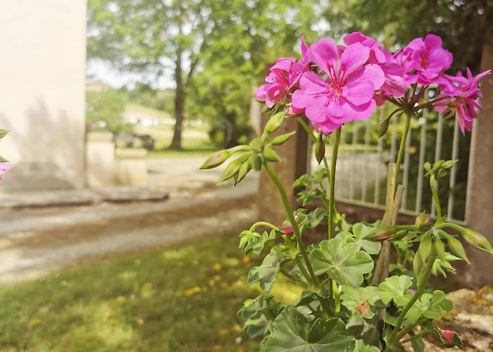 & 6 Pers 15 Min D'auch