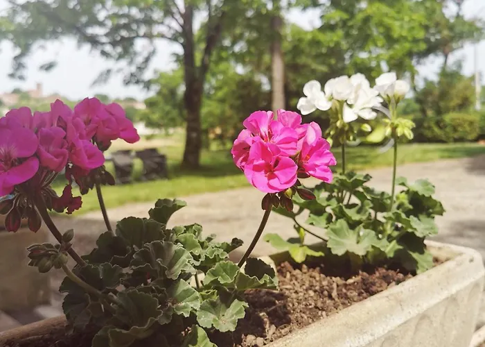 Dom wakacyjny & 6 Pers 15 Min D'auch